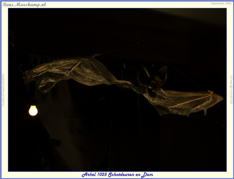 Rens Marskamp, Fotografie, Foto, RM photography, Arkel, 1025, Feestweek, Straatfeest, Schotdeuren, DAM, 