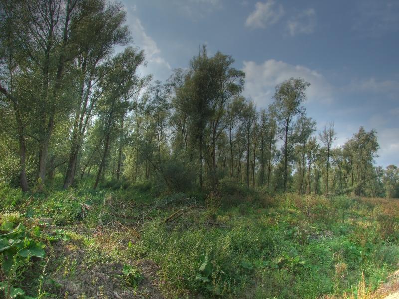 Rens Marskamp, Fotografie, Foto, RM photography, , 