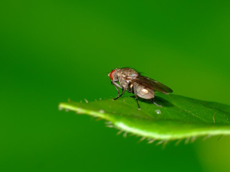 Rens Marskamp, Fotografie, Foto, RM photography, , 