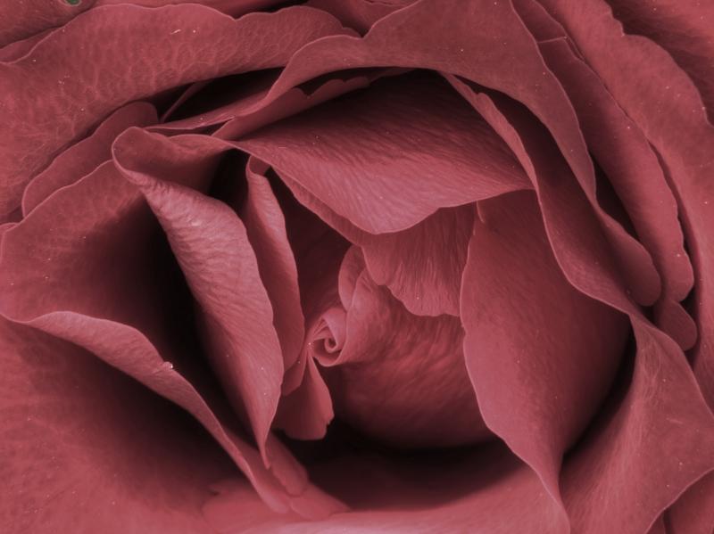 Rens Marskamp, Fotografie, Foto, RM photography, , 