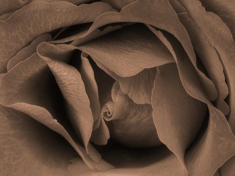 Rens Marskamp, Fotografie, Foto, RM photography, , 