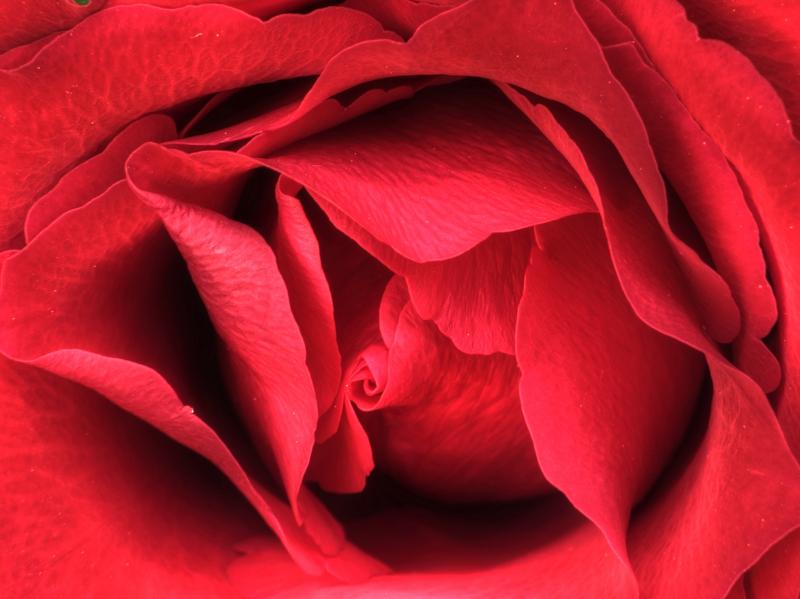 Rens Marskamp, Fotografie, Foto, RM photography, , 