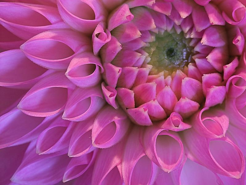 Rens Marskamp, Fotografie, Foto, RM photography, , 