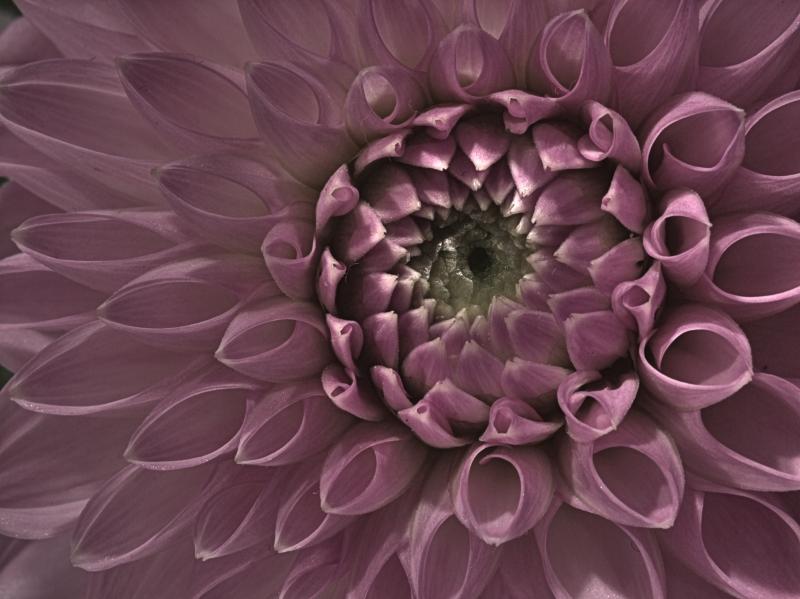 Rens Marskamp, Fotografie, Foto, RM photography, , 