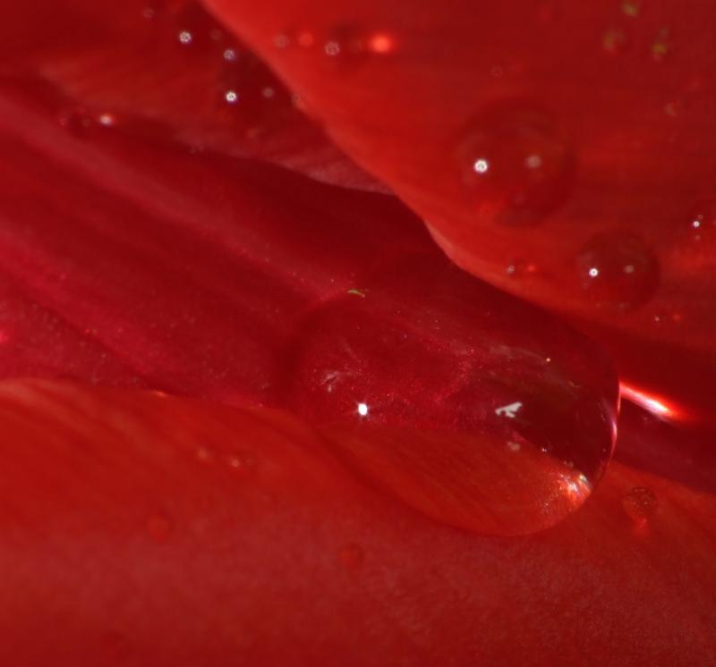 Rens Marskamp, Fotografie, Foto, RM photography, , 