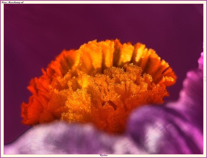 Rens Marskamp, Fotografie, Foto, RM photography, , 