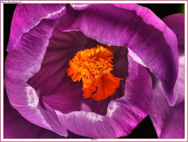 Rens Marskamp, Fotografie, Foto, RM photography, , 
