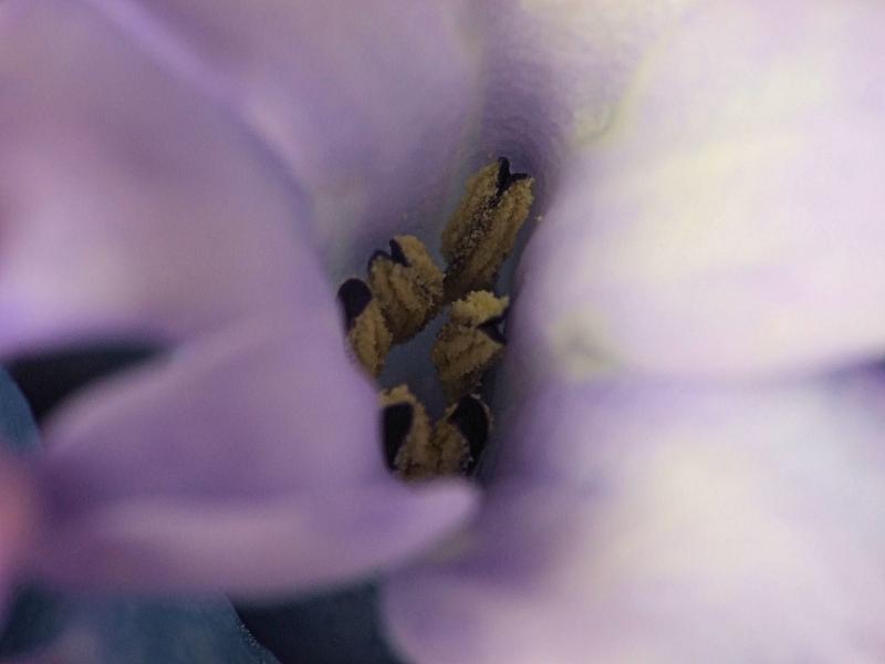 Rens Marskamp, Fotografie, Foto, RM photography, , 