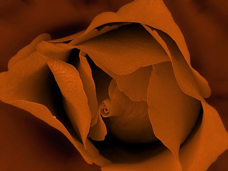 Rens Marskamp, Fotografie, Foto, RM photography, , 