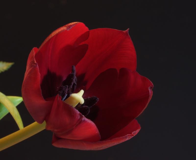 Rens Marskamp, Fotografie, Foto, RM photography, , 