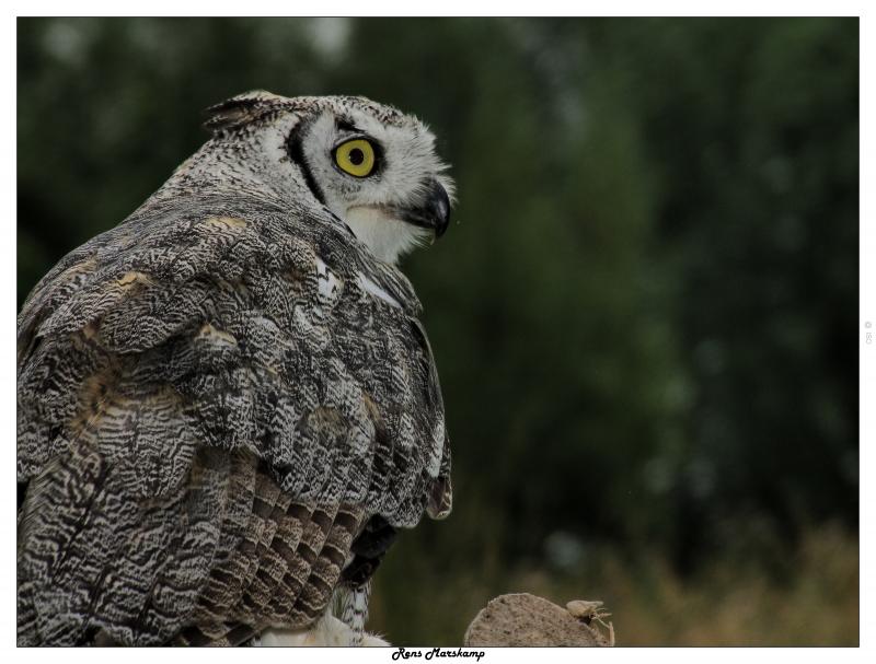 Rens Marskamp, Fotografie, Foto, RM photography, , 