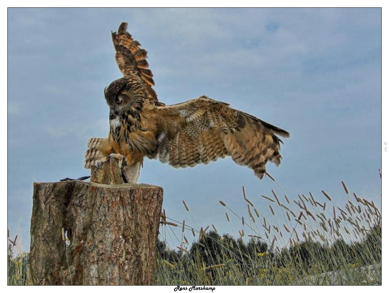 Rens Marskamp, Fotografie, Foto, RM photography, , 