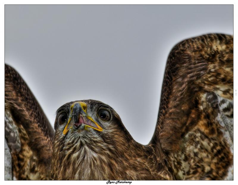 Rens Marskamp, Fotografie, Foto, RM photography, , 