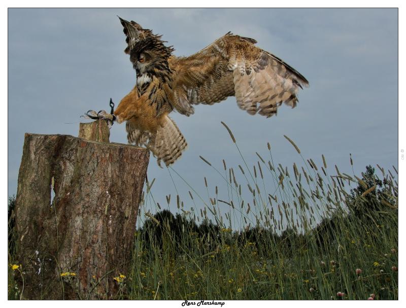 Rens Marskamp, Fotografie, Foto, RM photography, , 