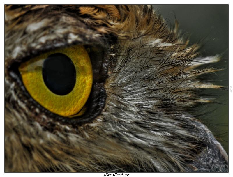 Rens Marskamp, Fotografie, Foto, RM photography, , 
