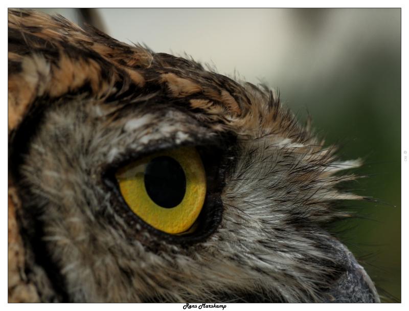 Rens Marskamp, Fotografie, Foto, RM photography, , 