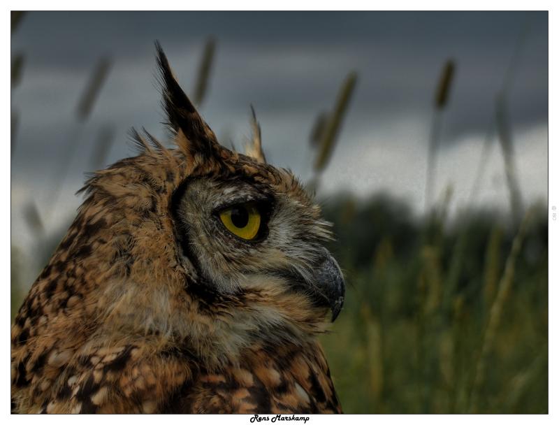 Rens Marskamp, Fotografie, Foto, RM photography, , 