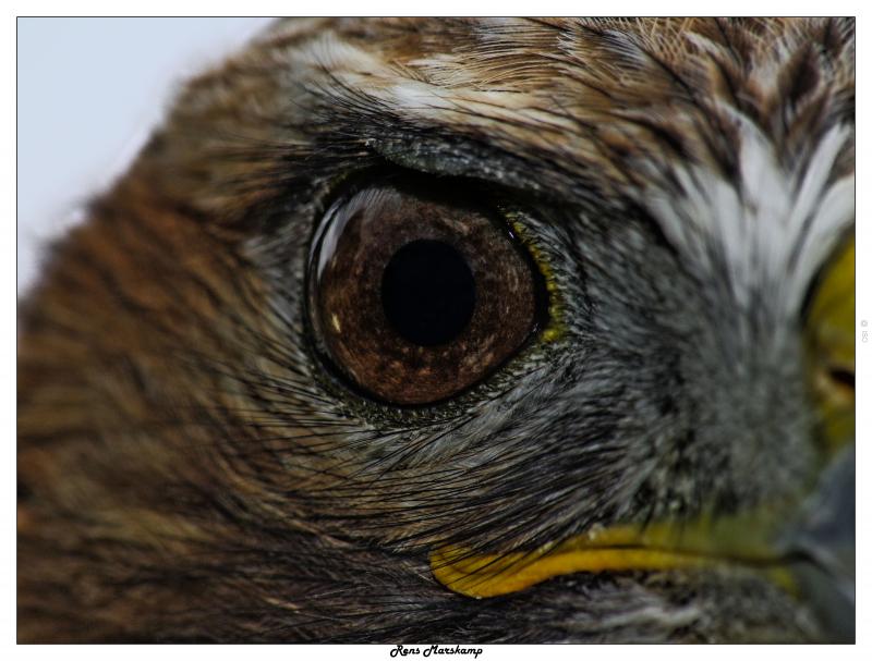 Rens Marskamp, Fotografie, Foto, RM photography, , 
