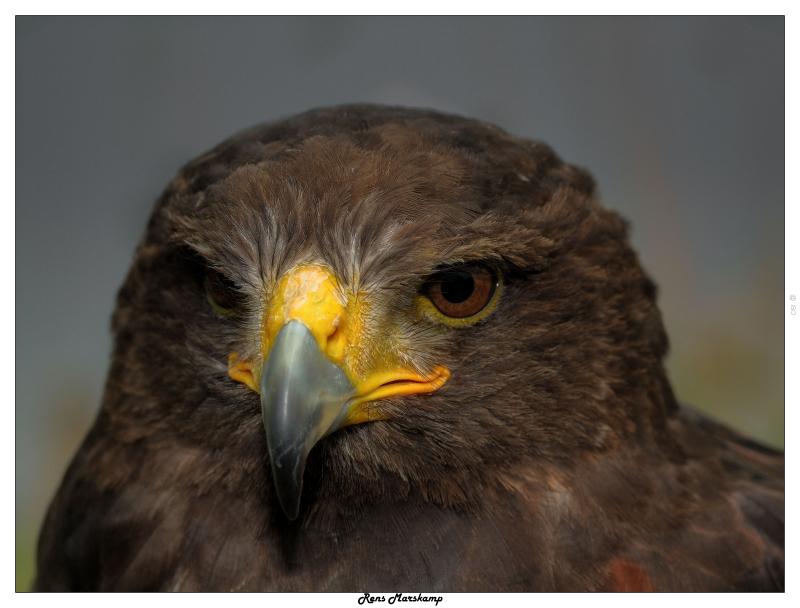 Rens Marskamp, Fotografie, Foto, RM photography, , 