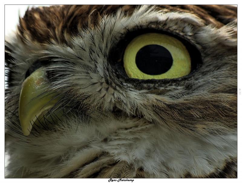 Rens Marskamp, Fotografie, Foto, RM photography, , 
