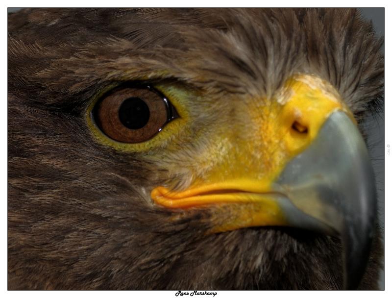Rens Marskamp, Fotografie, Foto, RM photography, , 
