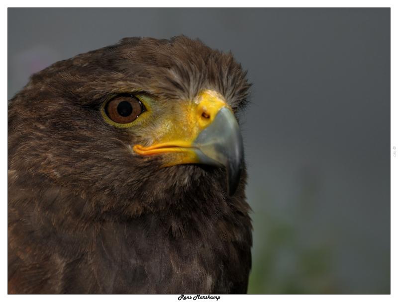 Rens Marskamp, Fotografie, Foto, RM photography, , 