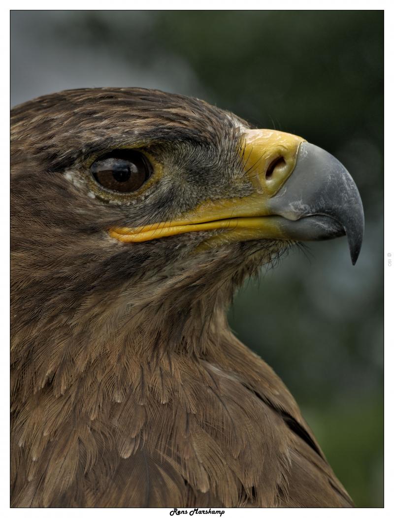 Rens Marskamp, Fotografie, Foto, RM photography, , 