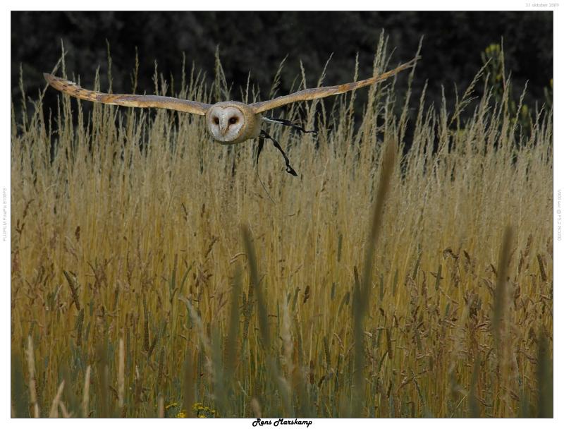 Rens Marskamp, Fotografie, Foto, RM photography, , 