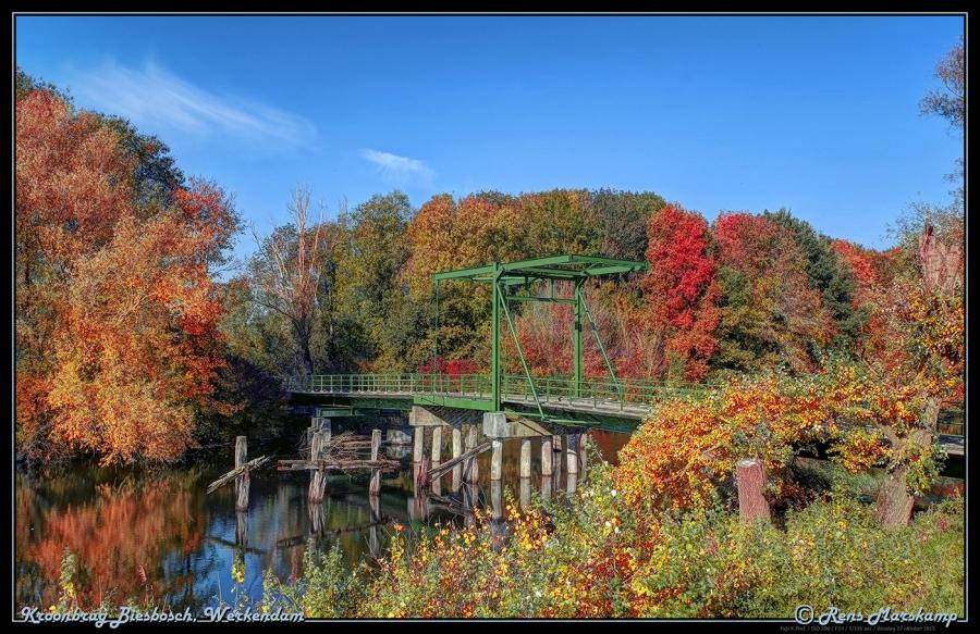 Rens Marskamp, Fotografie, Foto, RM photography, , Kroonbrug, Werkendam, Biesbosch, Herfst