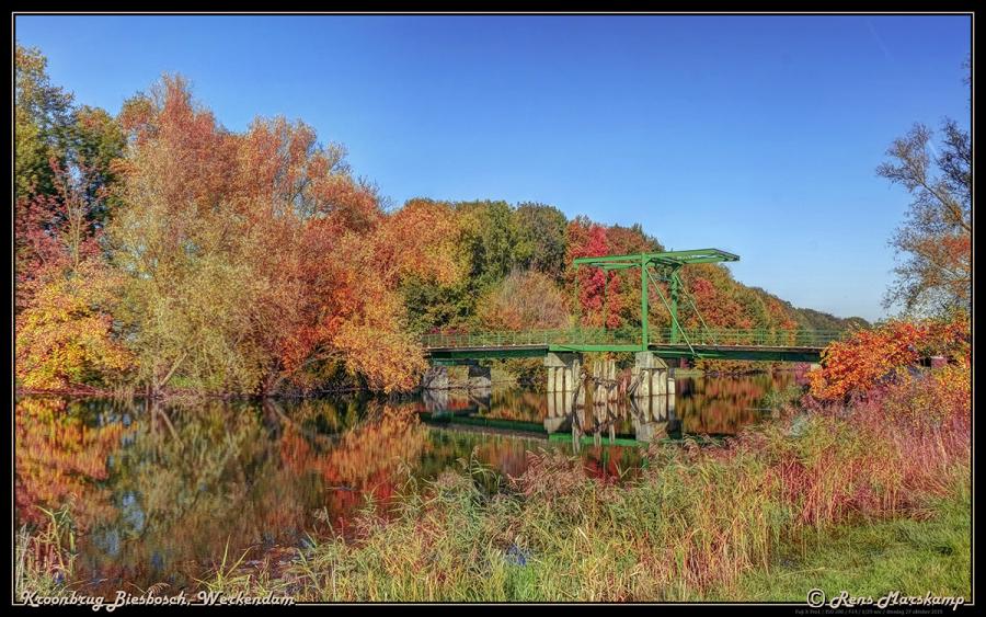 Rens Marskamp, Fotografie, Foto, RM photography, , Kroonbrug, Werkendam, Biesbosch, Herfst