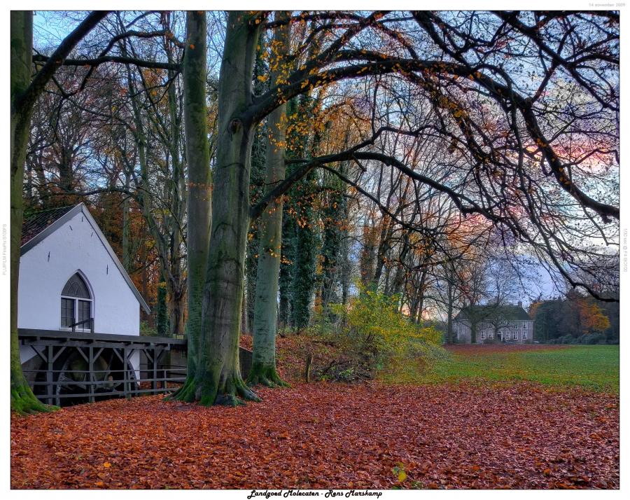 Rens Marskamp, Fotografie, Foto, RM photography, , Landgoed Molecaten, Hattem