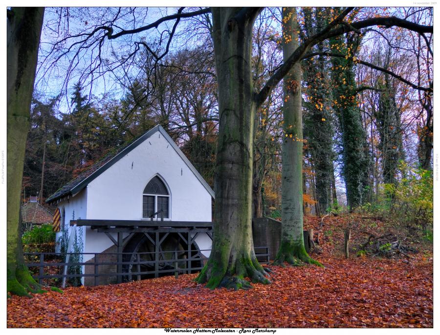 Rens Marskamp, Fotografie, Foto, RM photography, , Landgoed Molecaten, Hattem